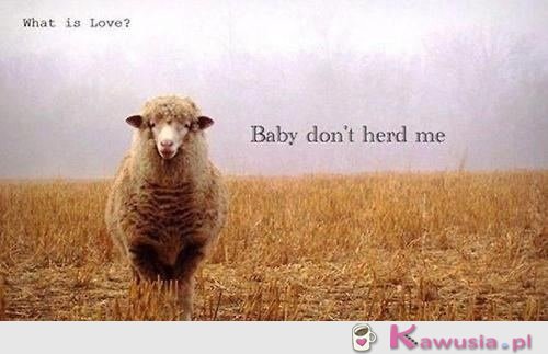 What is love?
