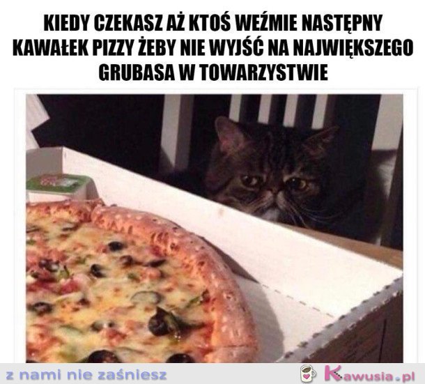 NIE CHCĘ WYJŚĆ NA GRUBASA