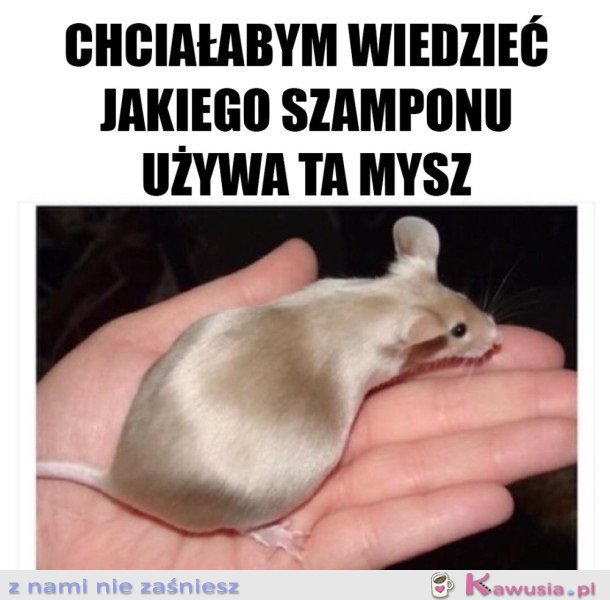 BARDZO PRAGNĘ TEJ INFORMACJI