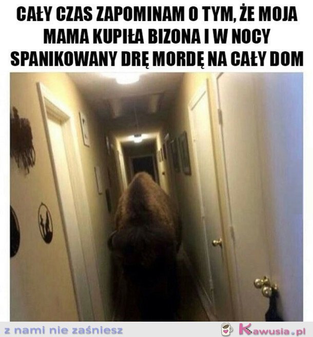 NIETYPOWA ZACHCIANKA MOJEJ MAMY
