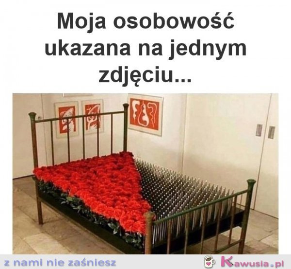 To zdjęcie idealnie ukazuje moją osobowość