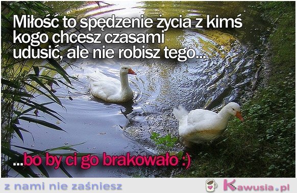 Miłość to