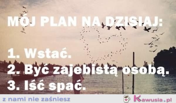 Ambitny plan na dziś