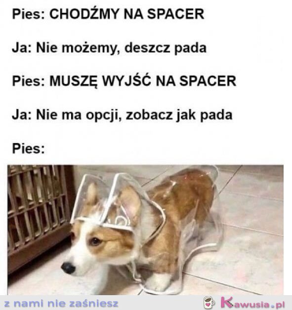 Chodźmy na spacer