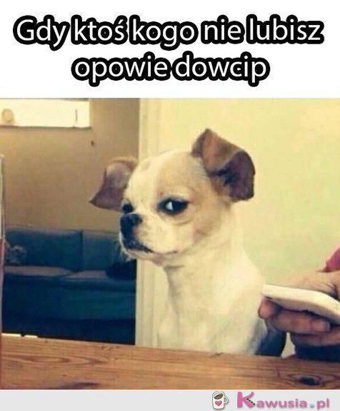 Skończ... 