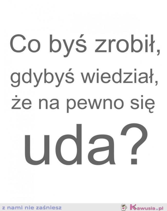 Co byś zrobił?