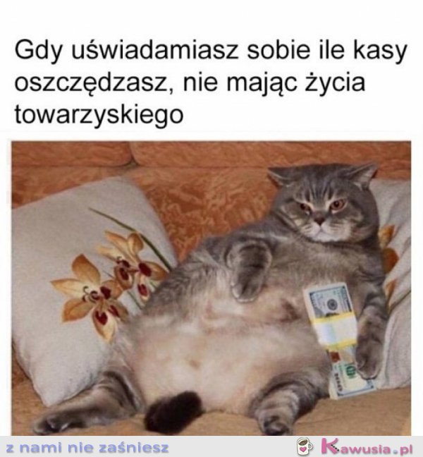 Już nigdy nie wyjdę
