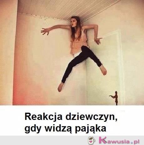 Reakcja dziewczyn