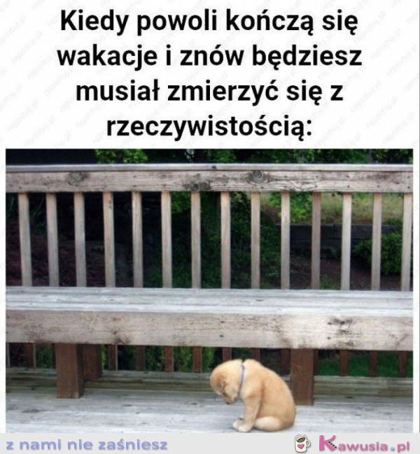 Kiedy po woli kończą się wakacje