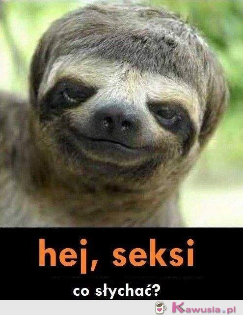 Hej...
