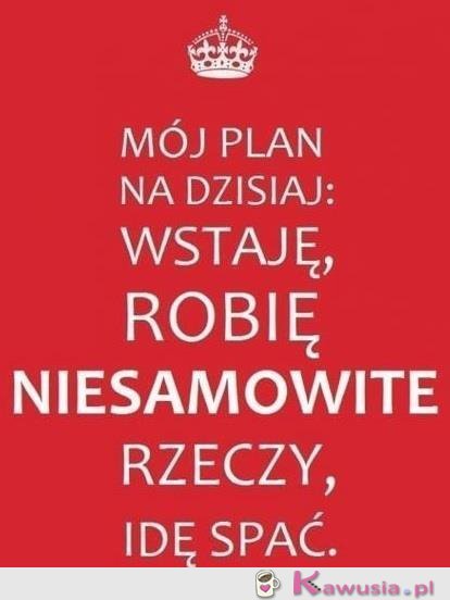 Mój plan na dzisiaj