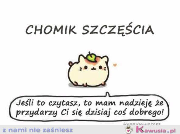 Chomik szczęścia