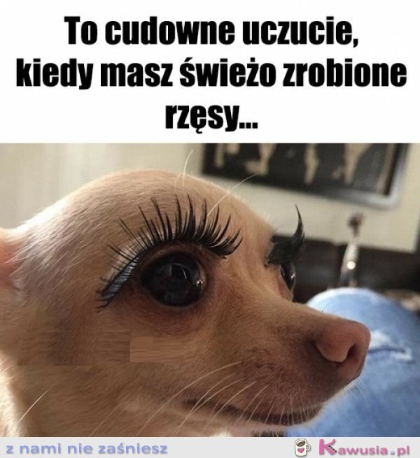 Teraz uważajcie na przeciągi...