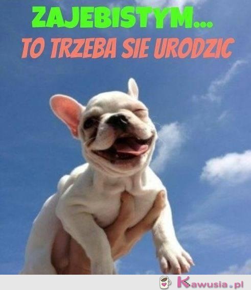 Takim trzeba się urodzić