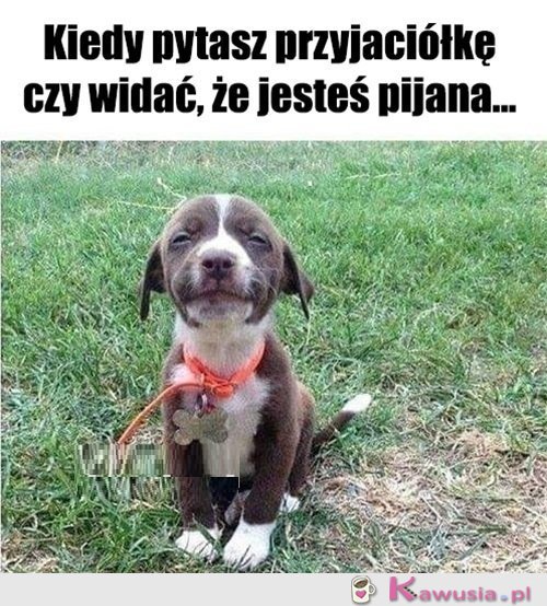 No i jak...