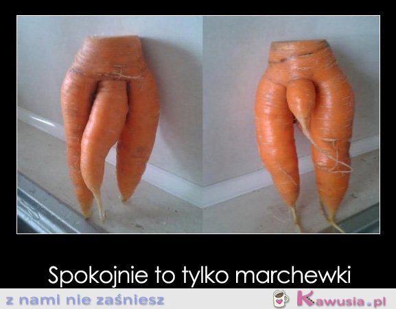 Spokojnie to tylko marchewki