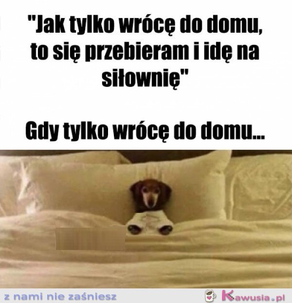 Chęci były i to się liczy...