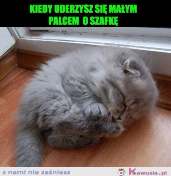 To mój koniec