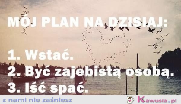 Ambitny plan na dziś