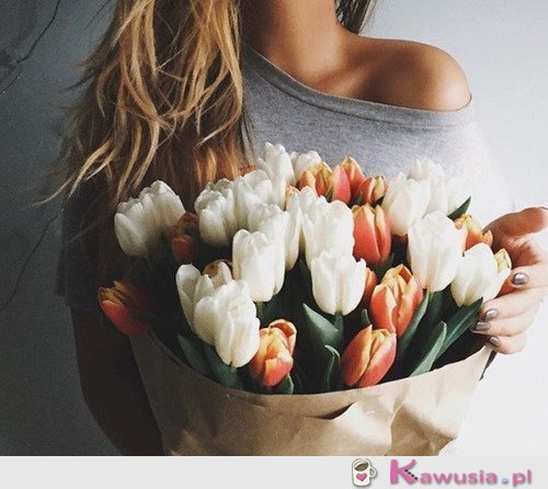 Uwielbiam tulipany