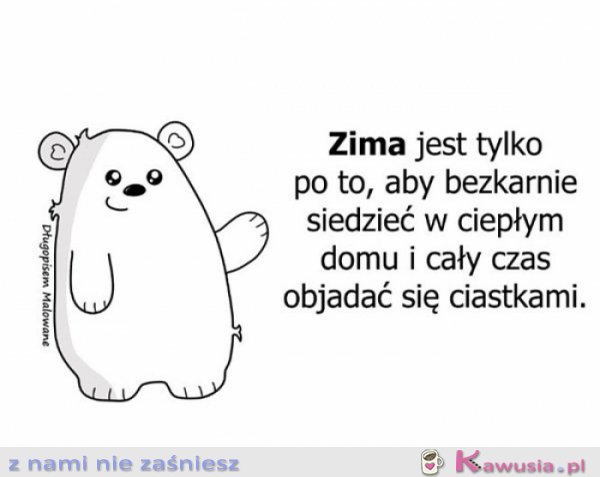 Bo zima zawsze po to jest