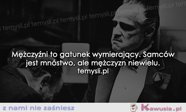 Mężczyźni to gatunek wymierający...