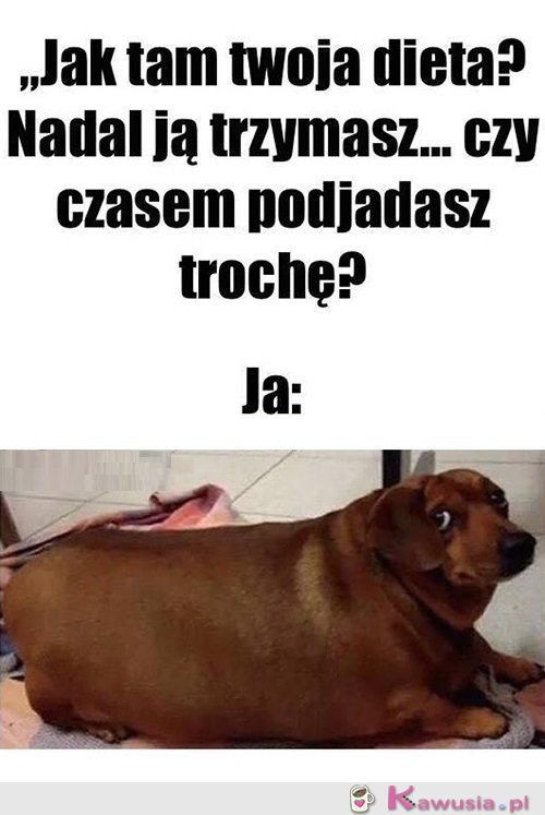 Żartujesz