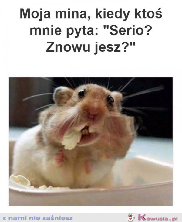 A Ty, znowu jesz