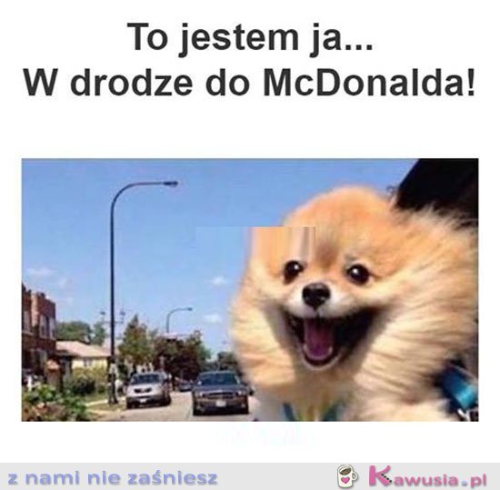 Ja w drodze do maka