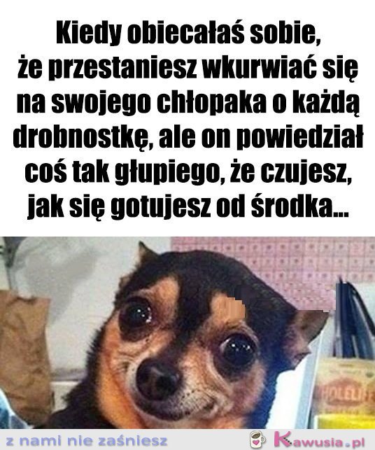 No i jak tu się nie odezwać...