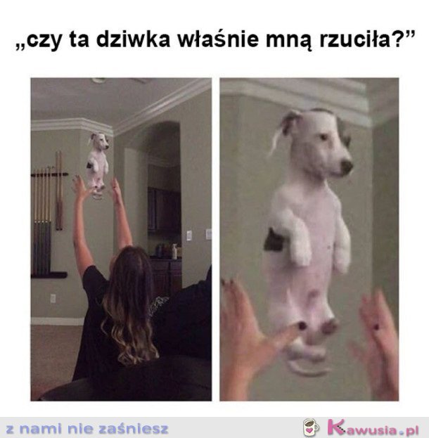 CHYBA SOBIE ŻARTY ROBI