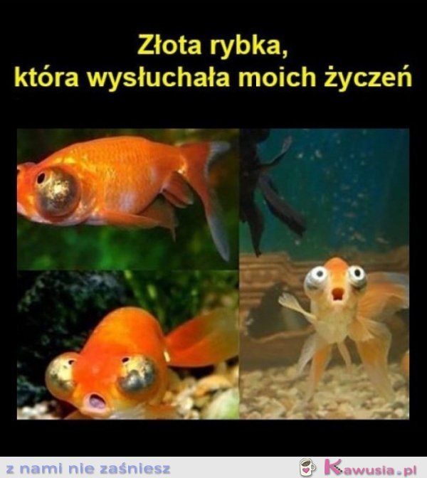 Pierwszy raz widzę tę mine u niej