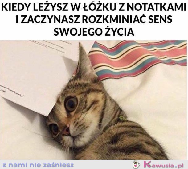 TEŻ TAK MACIE...