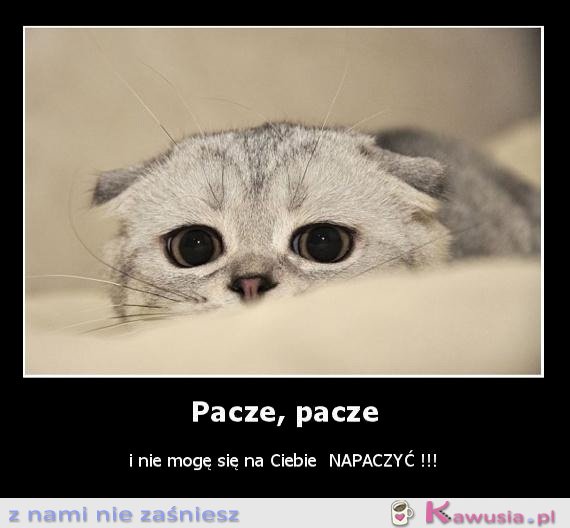 Pacze, pacze