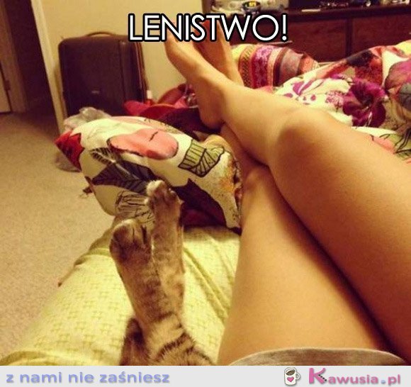 Lenistwo