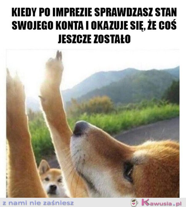 JESZCZE JEST ODROBINA KASY