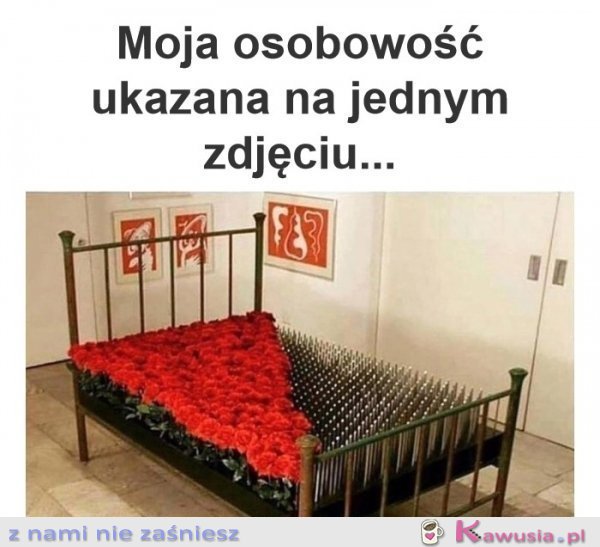 To zdjęcie idealnie ukazuje moją osobowość