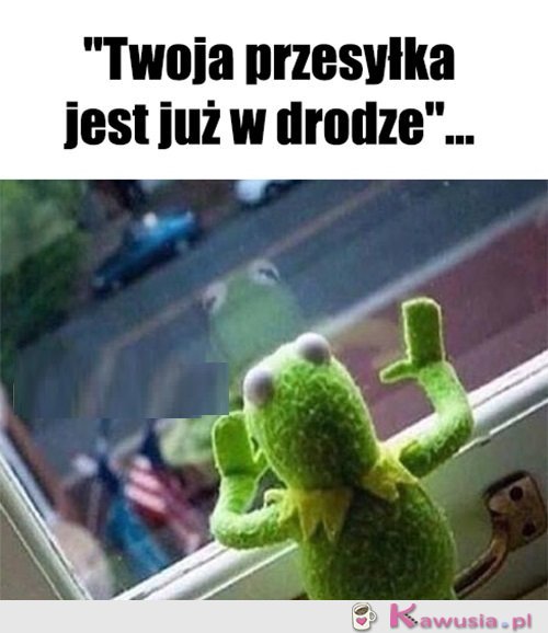 Tyle szcześcia