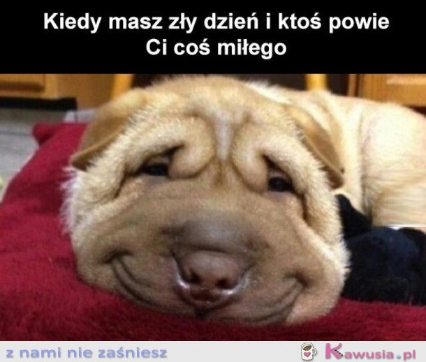 NA POPRAWIENIE HUMORU