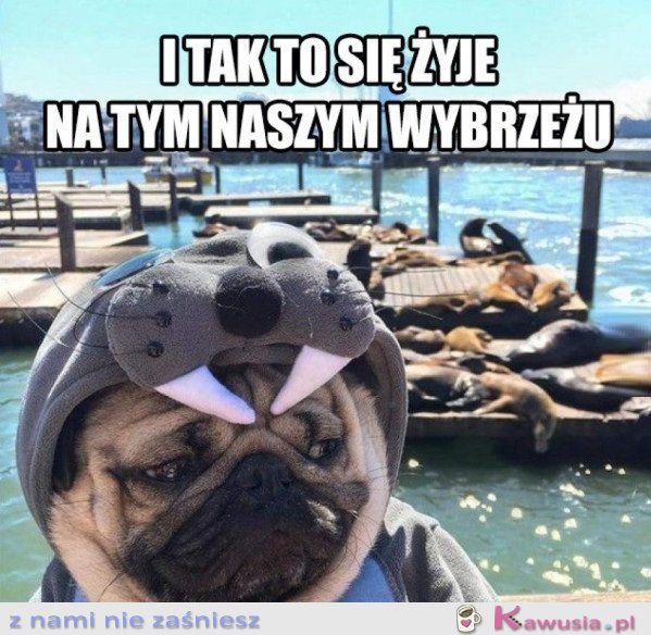 I TAK TO SIĘ ŻYJE