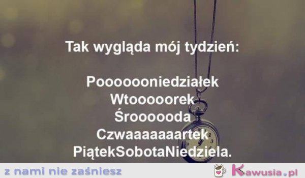Mój tydzień