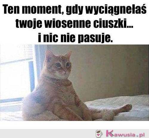 Jak to?