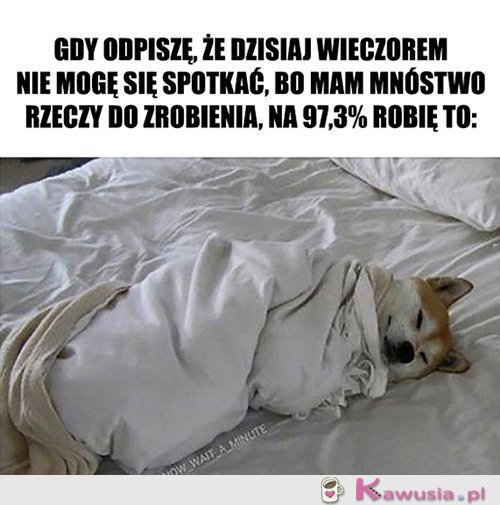Nie wiem w co ręce włożyć..