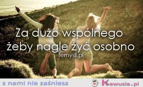 Za dużo wspólnego żeby...