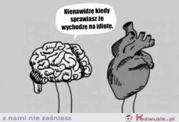 Serce i rozum