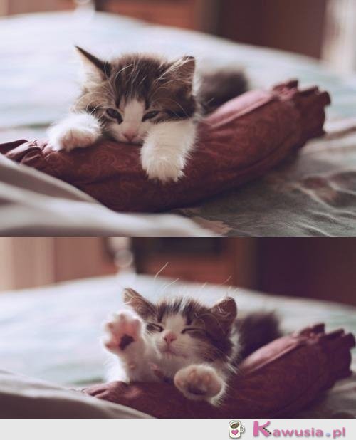 Małe rozciąganko i leniuchujemy dalej...