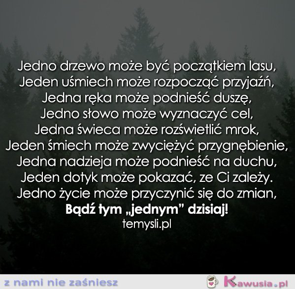 Jedno drzewo może być początkiem lasu