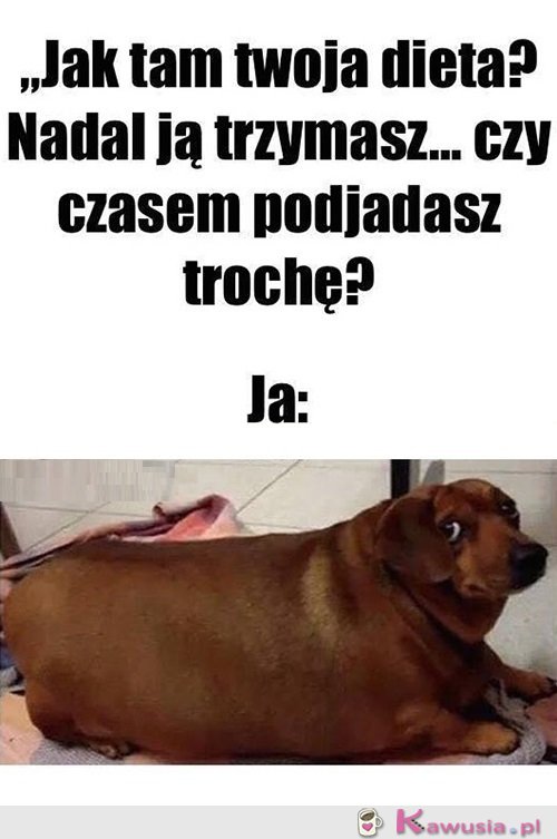 Żartujesz