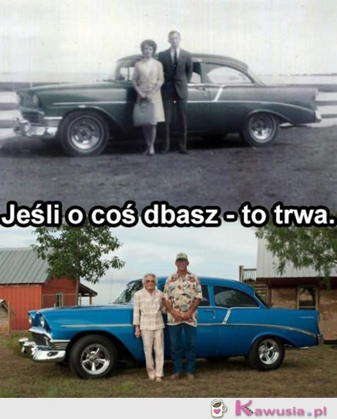 Dbaj o to co kochasz