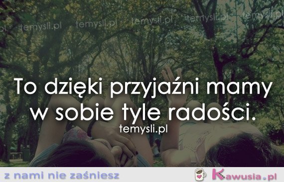 Przyjaźń